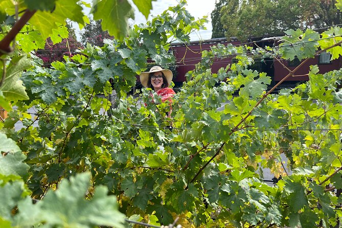 Yountville Food and Wine Tour in Napa - Included in the Tour