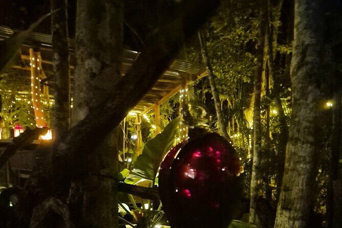 Your enchanting dining escape, awaits in a intimate Jungle haven - The Sum Up