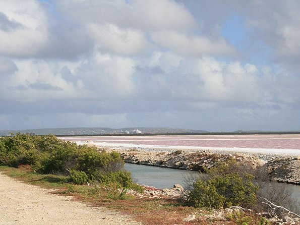 Your Guide Private Tour (North and South) Customize - Tour Highlights