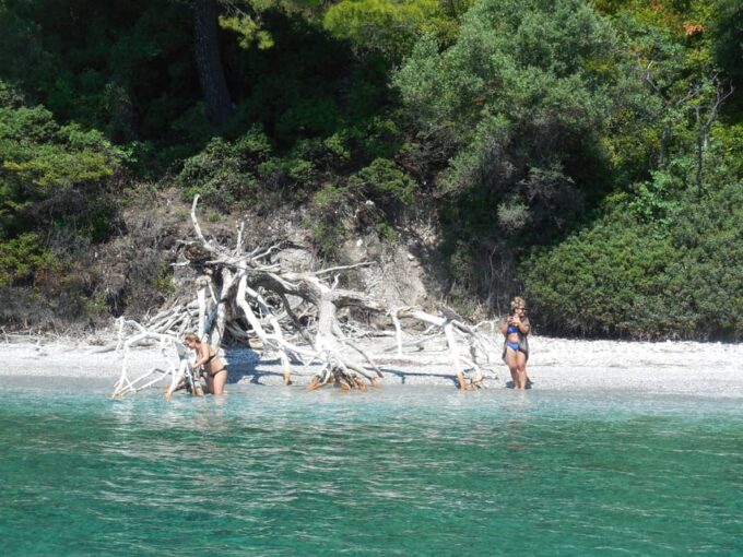 Your Mamma Mia Adventure on Skopelos Island - Experience and Services Provided