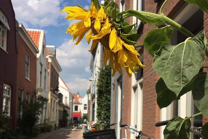 Your Own Holland. Haarlem, the Coastal Dunes and the North Sea - Learning About Tulip History