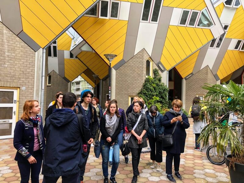 Your Own Holland. Rotterdam: Travel to the Future - Personalized Tour Focused on Interests