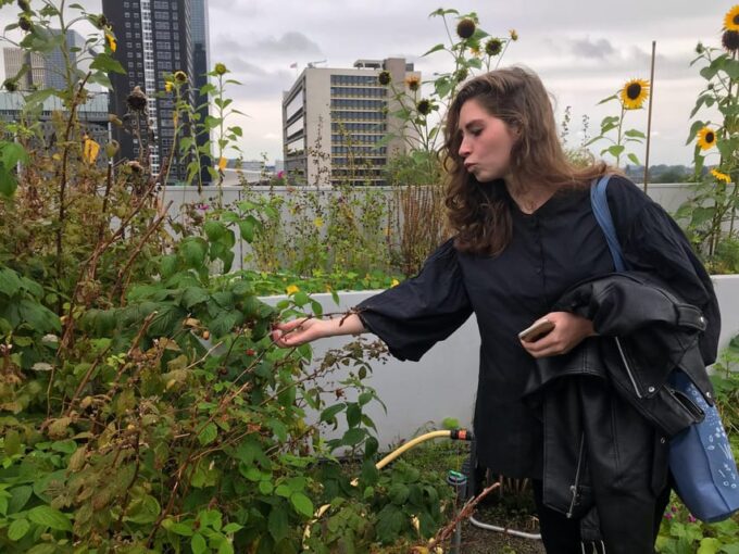 Your Own Holland. Rotterdam: Travel to the Future - Emphasis on Urbanism and Innovation