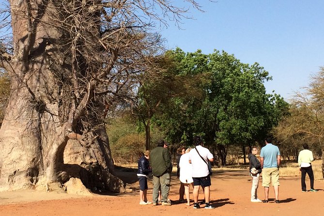 Your Private Driver & Tour Guide in Senegal-Reserve of Bandia - Health and Safety Information