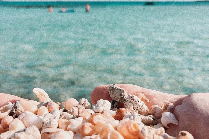 Your Tailored Elafonisi Escape. Luxury Day Tour From Elounda. - Booking and Cancellation Flexibility