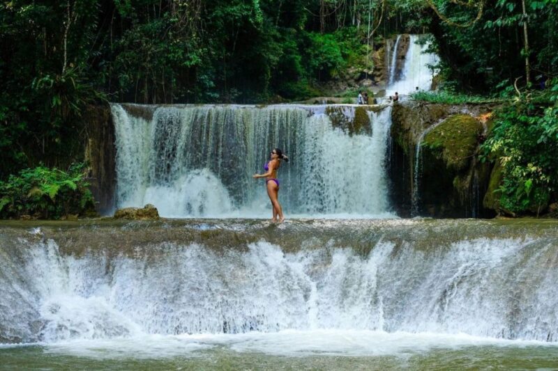 Ys Falls and Appleton Estate Private Tour - Itinerary Highlights