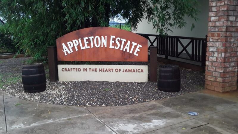 Ys Falls and Appleton Estate Private Tour - Inclusions and Exclusions