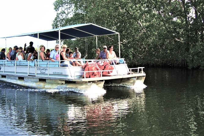 YS Falls and Black River Safari Guided Tour From Montego Bay and Grand Palladium - YS Falls Experience