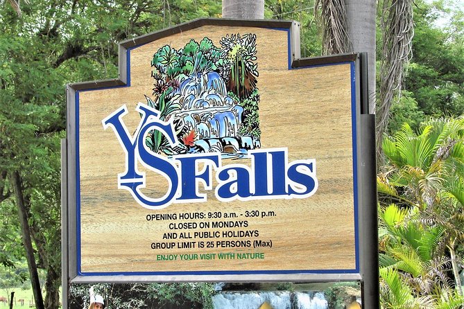 YS Falls and Black River Safari Guided Tour From Montego Bay and Grand Palladium - Accessibility and Considerations
