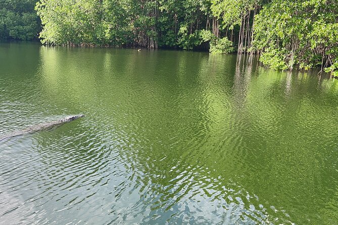 YS Falls and Black River Safari Including Pelican Bar Tour - Inclusions