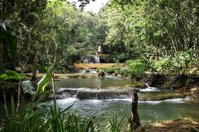 YS Falls and Pelican Bar Combo Full-Day Private Tour South Coast - Booking Details