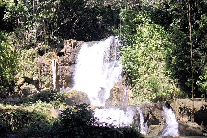 YS Falls and Sightseeing Tour Day Adventure - Tour Overview