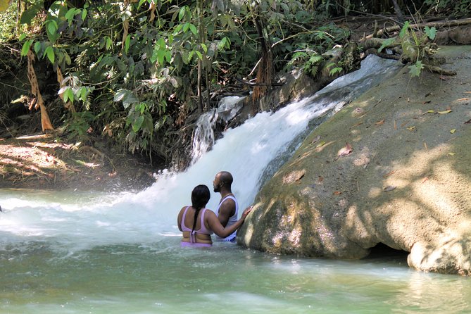 YS Falls and Sightseeing Tour Day Adventure - Health and Accessibility