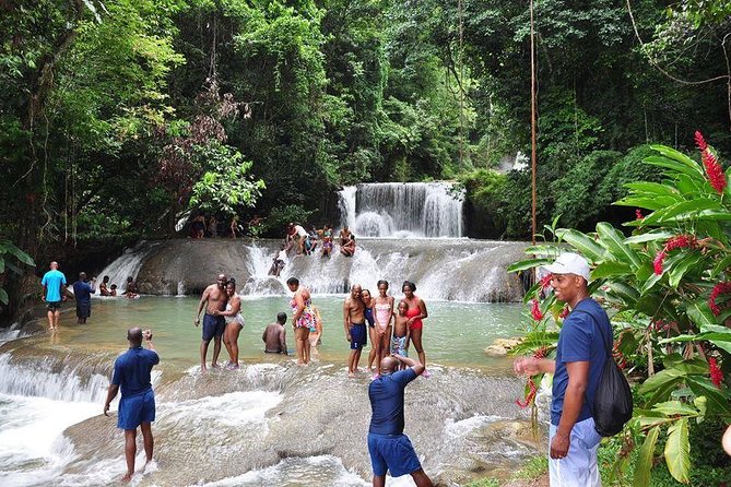 YS Falls and the Pelican Bar Adventure Tour From Falmouth - Inclusions