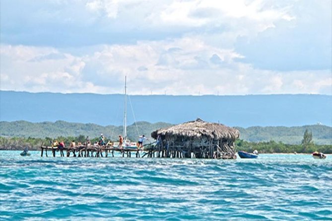 YS Falls and the Pelican Bar Adventure Tour From Kingston - Experience Details