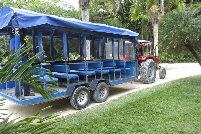 YS Falls and the Pelican Bar Adventure Tour From Negril - Inclusions and Exclusions