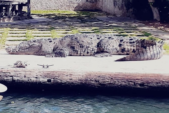 Ys Falls, Black River Safari and Appleton Estate Private Tour - Pickup and Accessibility
