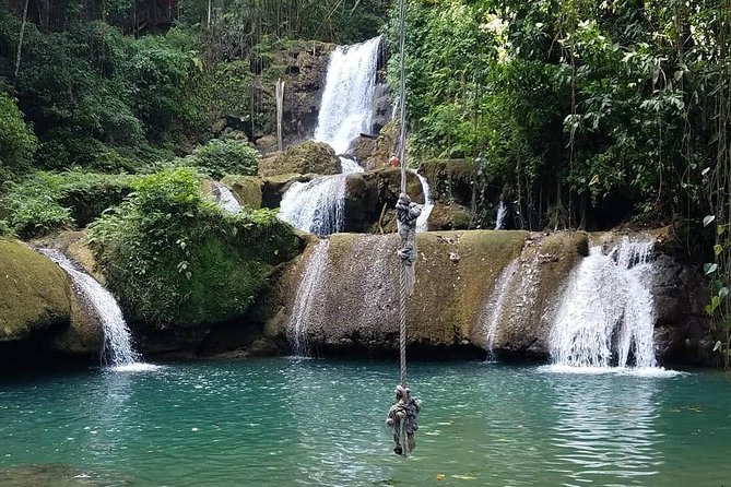 Ys Falls, Black River Safari and Appleton Estate Private Tour - Black River Safari Adventure