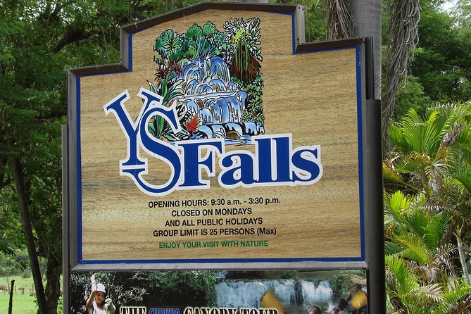 YS Falls, Black River Safari, and Floyds Pelican Bar Day-Trip (Transportation) - Uniqueness of the Experiences