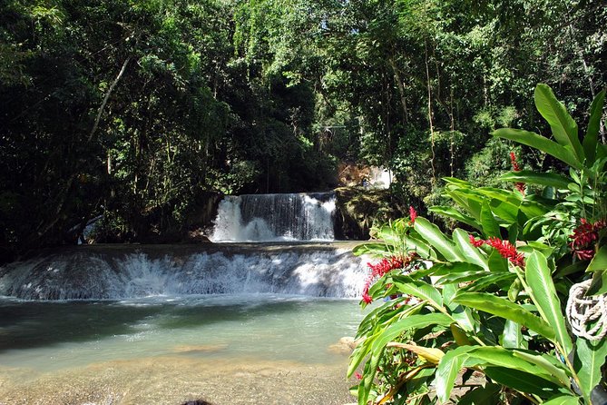 YS Falls, Black River Safari, Appleton Rum Tour OR Pelican Bar (Choose Up to 3) - Pricing Information