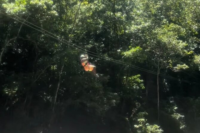 YS Falls, Black River Safari, Appleton Rum Tour OR Pelican Bar (Choose Up to 3) - Transportation and Inclusions