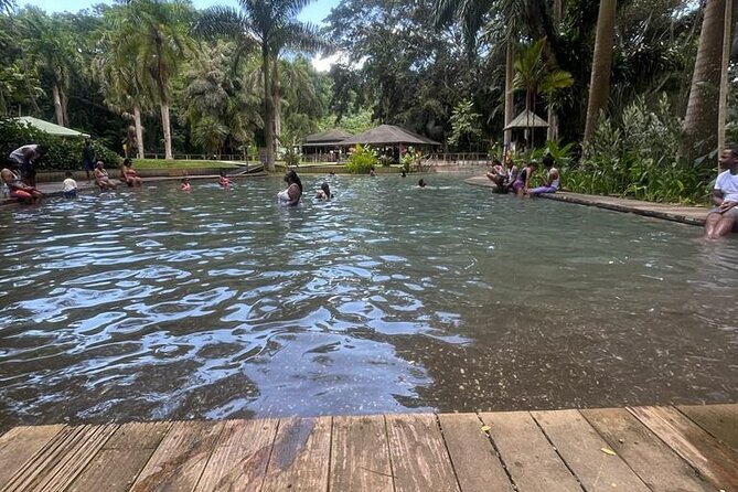 YS Falls, Black River Safari, Appleton Rum Tour OR Pelican Bar (Choose Up to 3) - Customer Feedback Highlights