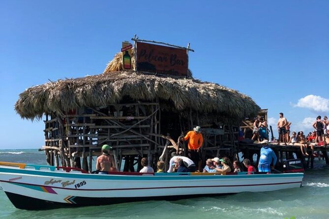 YS Falls, Black River Safari, Appleton Rum Tour OR Pelican Bar (Choose Up to 3) - Customization and Booking