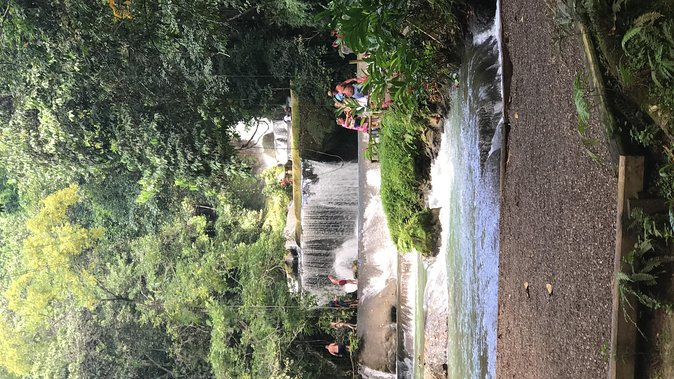 YS Falls, Black River Safari, Floyd's Pelican Bar - About Your Stay