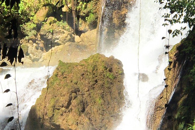 Ys Falls, Floyd's Pelican Bar, Black River Safari - Private Transportation and Convenience