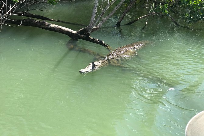 Ys Falls, Floyd's Pelican Bar, Black River Safari - Flexibility in Booking and Cancellation