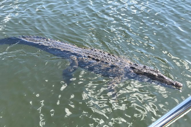 Ys Falls, Floyd's Pelican Bar, Black River Safari - Questions About Your Stay
