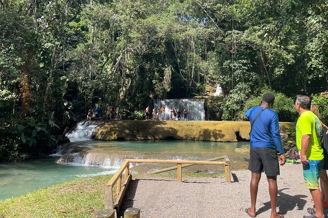 YS Falls Half Day Tour - Accessibility and Participation