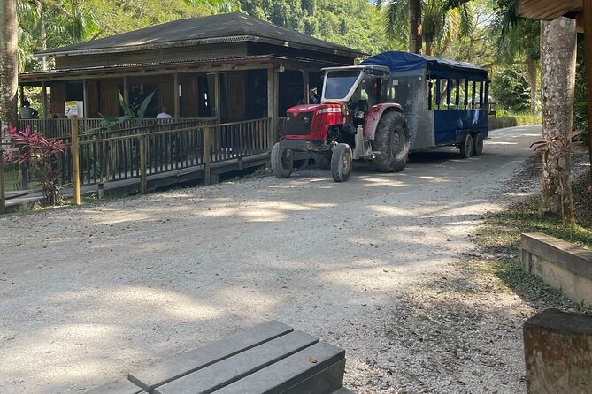 YS Falls Half Day Tour - Highlights of YS Falls