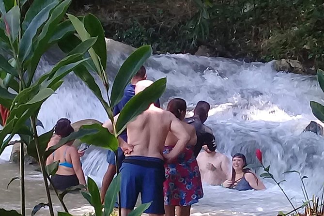YS Falls & Pelican Bar Tour - Tour Details