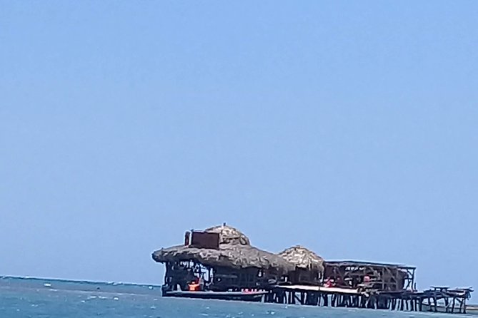 YS Falls & Pelican Bar Tour - Guest Reviews