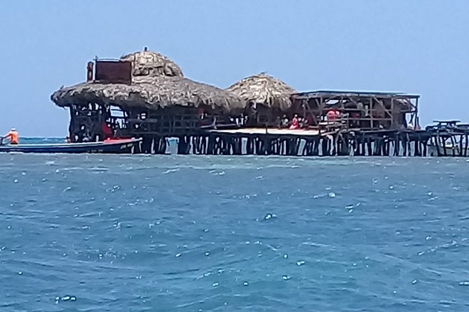 YS Falls & Pelican Bar Tour - Attraction Highlights