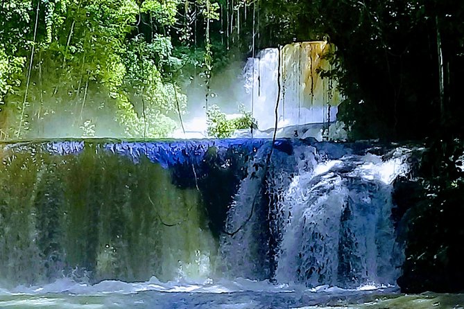 YS Falls & Pelican Bar Tour - Accessibility and Accommodations