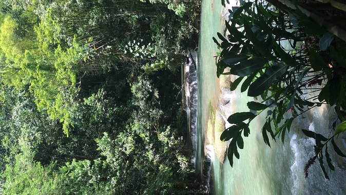 YS Falls Private Full-Day Adventure Tour With Pickup - Customer Feedback