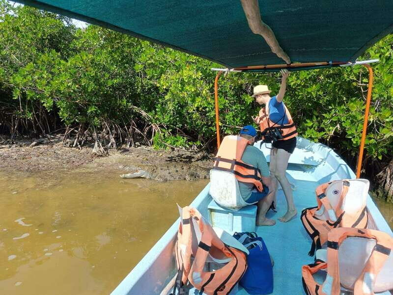 Yucatán: Río Lagartos Biosphere Reserve Boat Tour - Key Points