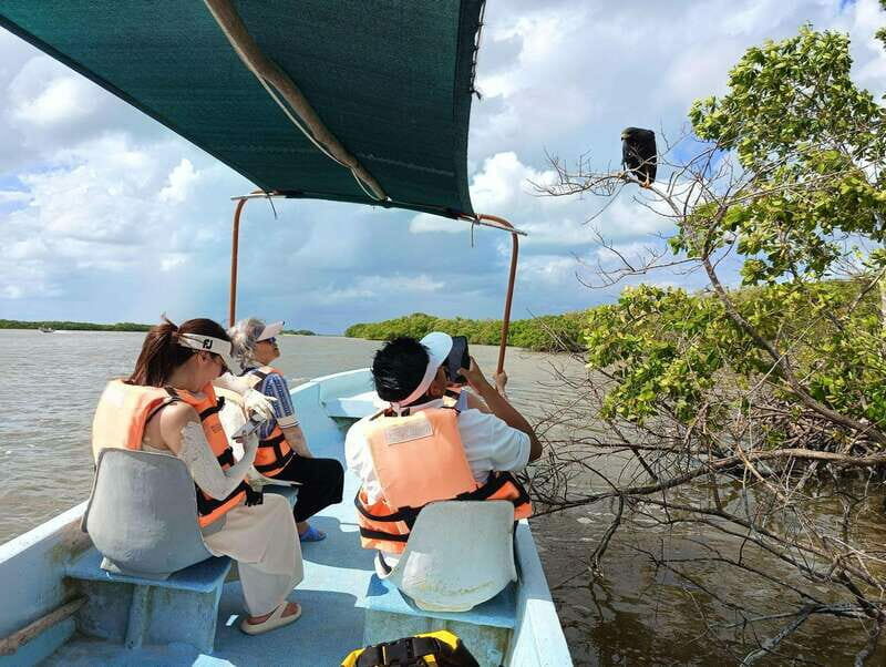 Yucatán: Río Lagartos Biosphere Reserve Boat Tour - Who Should Consider This Tour?
