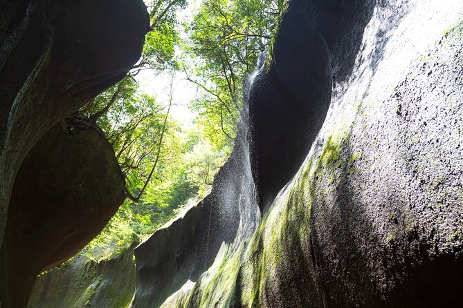 Yufugawa Gorge Trekking Tour - Key Points