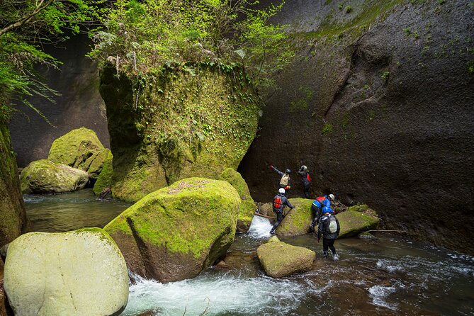 Yufugawa Gorge Trekking Tour - Additional Information
