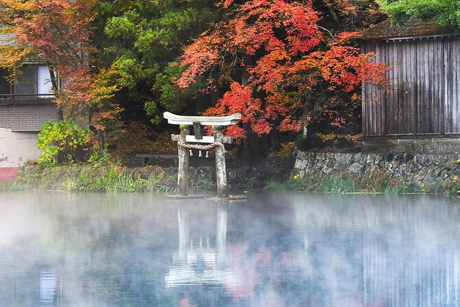 Yufuin Kinrin Lake Sea Hell Hot Springs Kyushu Zoo From Fukuoka - Accessibility and Conditions