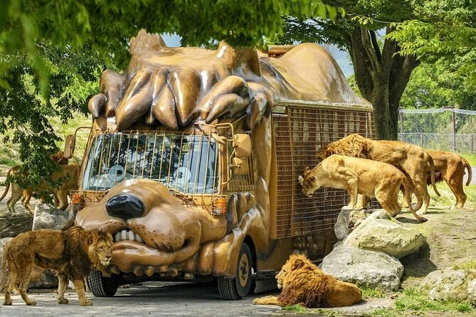 Yufuin Kinrin Lake Sea Hell Hot Springs Kyushu Zoo From Fukuoka - Booking and Cancellation Policies