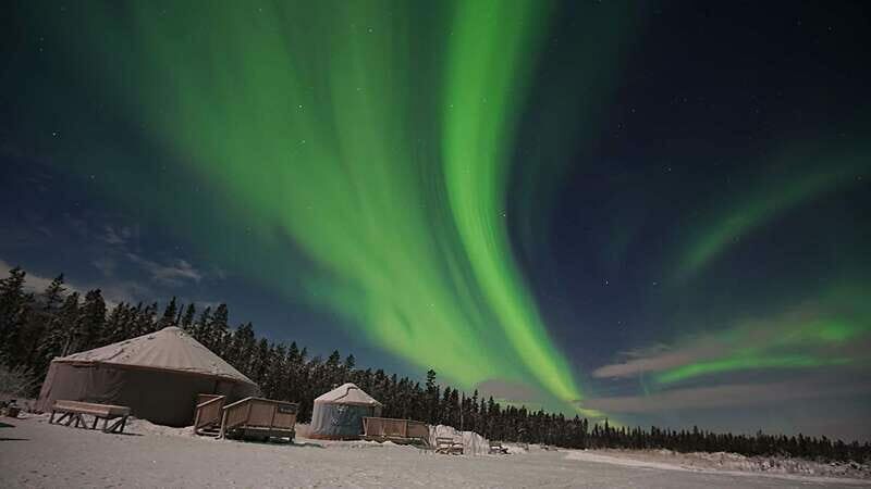 Yukon: Aurora Borealis Late Night Viewing Tour - Who Will Love This Tour?