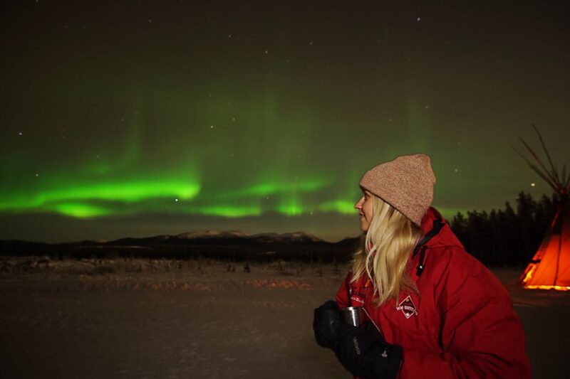 Yukon: Aurora Borealis Late Night Viewing Tour - Inclusions and Exclusions
