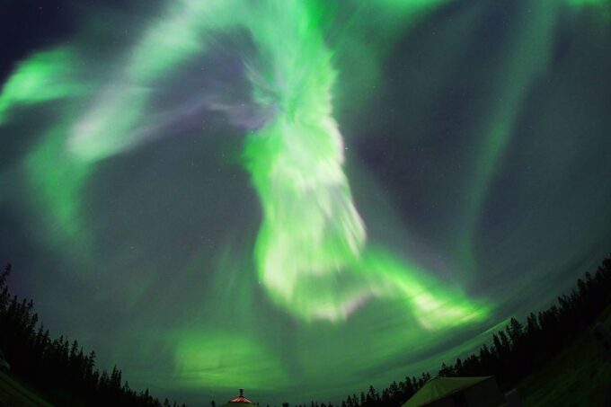 Yukon: Aurora Borealis Late Night Viewing Tour - Booking and Cancellation