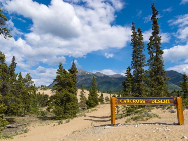 Yukon Escapade: Lakes, Wilderness, and Hidden Gems - Itinerary Highlights