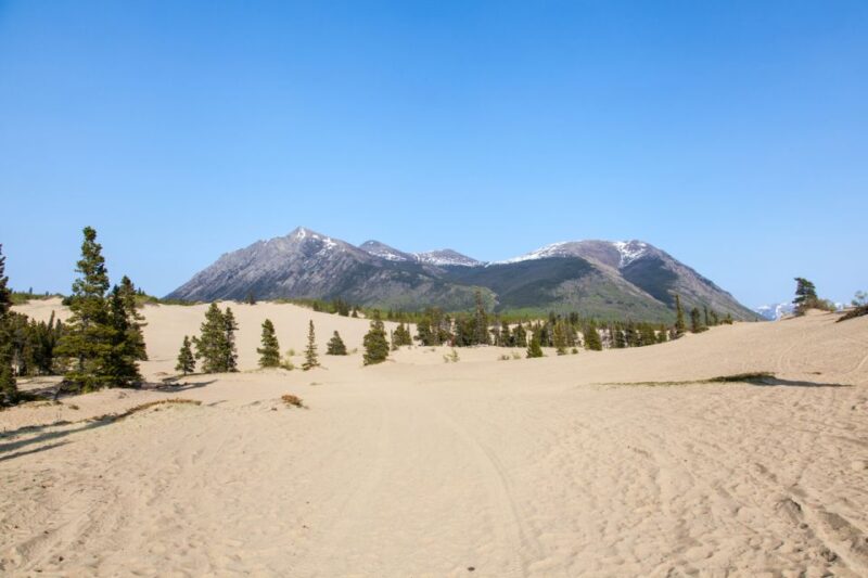 Yukon Escapade: Lakes, Wilderness, and Hidden Gems - Exploring Carcross Town