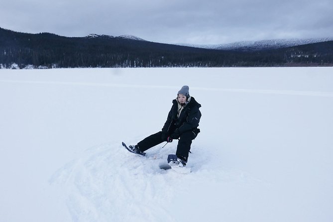 Yukon Ice Fishing & Snowshoeing Tour | Half Day - Meeting and End Point